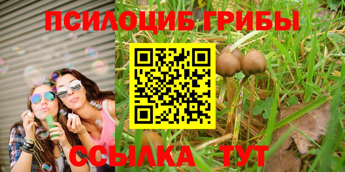 Псилоцибиновые грибы мухоморы  Галлюциногенные грибы Psilocybine cubensis  Вход с VPN  цены наркотик  Ярцево 